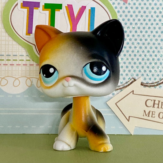 Vintage Authentic Littlest Pet Shop Shorthair Cat 106 Orange Black Blue